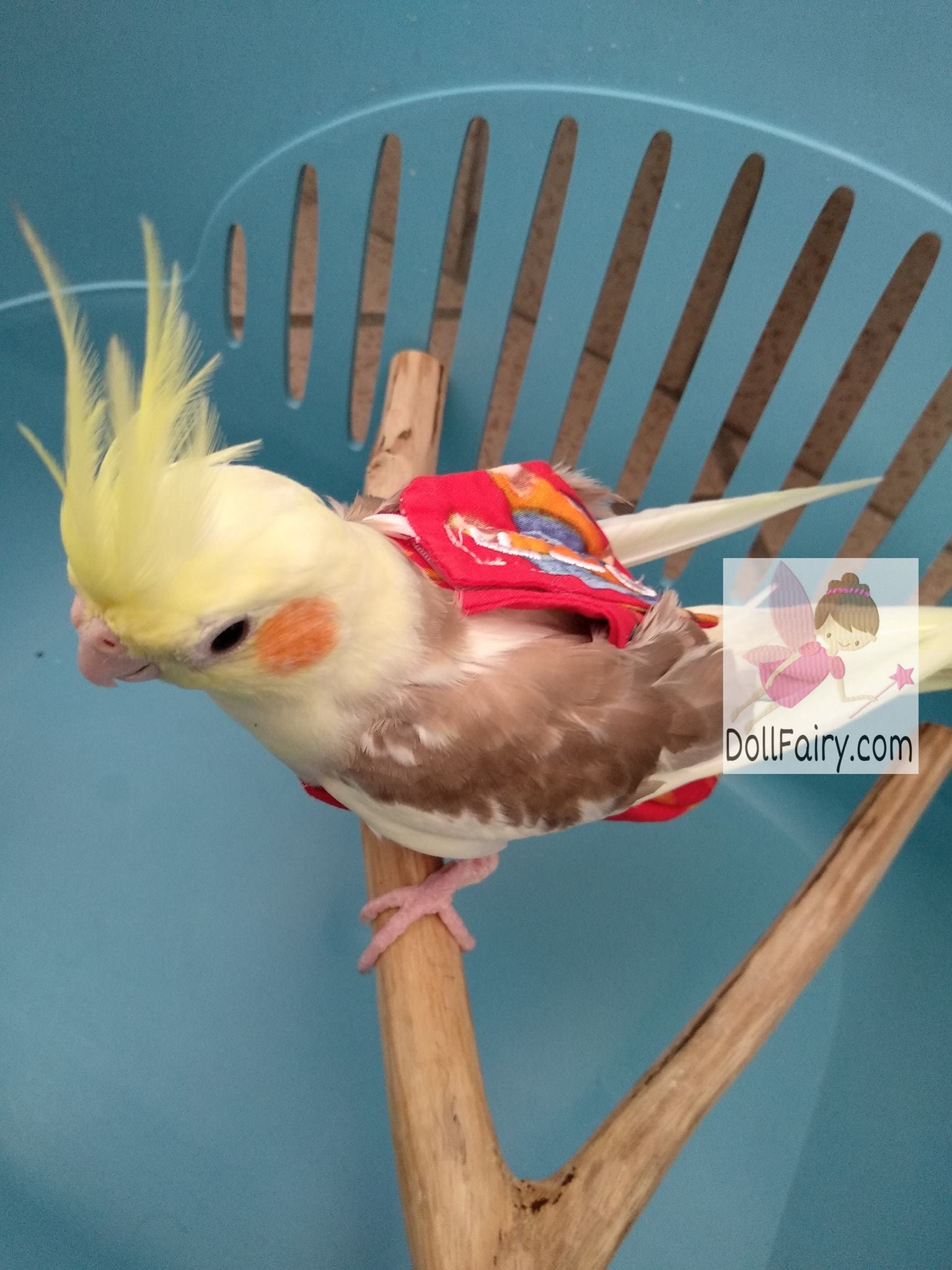 cockatiel doll