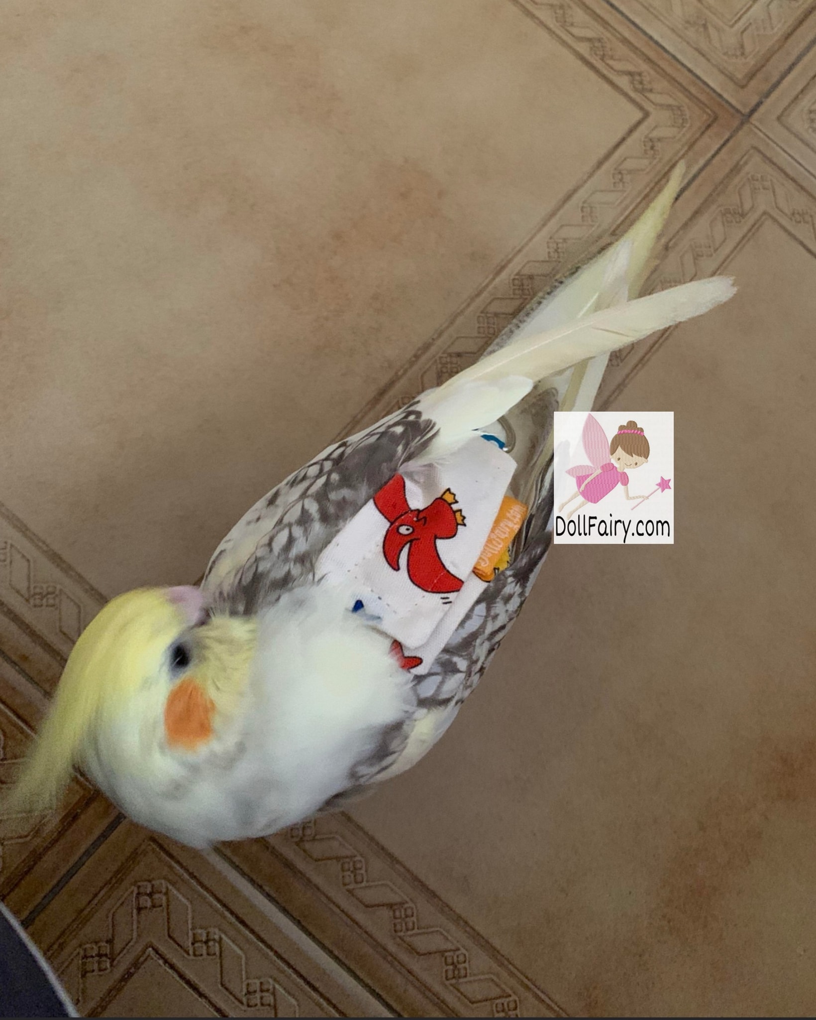 cockatiel doll